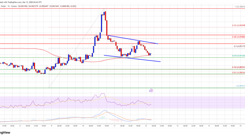 Dogecoin (DOGE) Pullback Sparks Tension — Will Support Hold?