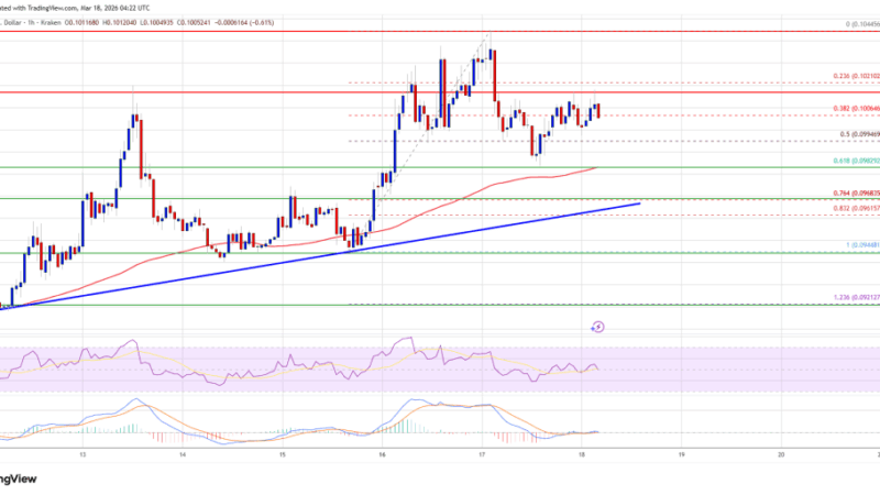 Dogecoin (DOGE) Retraces Gains — Bulls Guard Key Support Zone