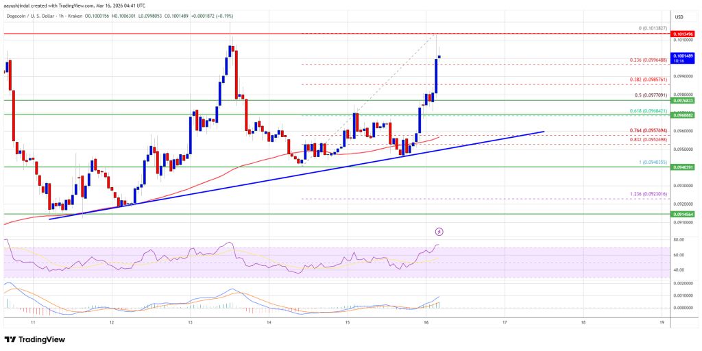 Dogecoin (DOGE) Strength Builds as Traders Anticipate Breakout