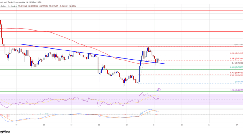 Dogecoin (DOGE) Targets Resistance, Bulls Eye Potential Upside Move