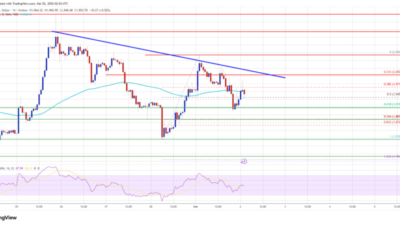 Ethereum Price Support Intact, but Market Signals Waning Bullish Momentum