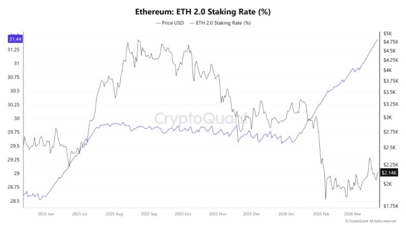Ethereum Staking Ratio Hits Record 31.4% As Exchange Supply Crashes To 2016 Lows