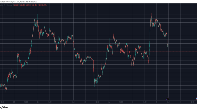 NEAR Skyrockets 15% Daily, BTC Price Plummets Below $67K: Market Watch