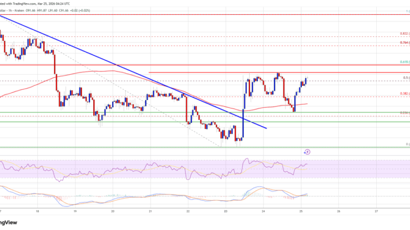 Solana (SOL) Recovery Firms, Bulls Prepare for Stronger Upside Push
