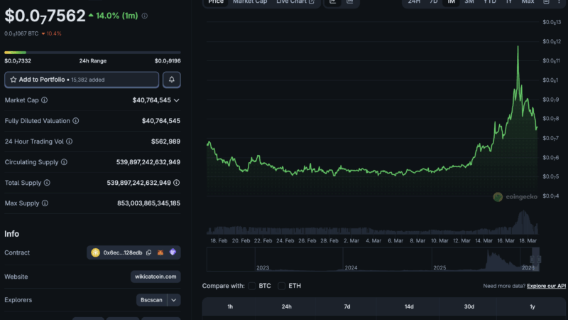 What is WKC Crypto? WIKICAT Price Correction on BSC After +40% Pump