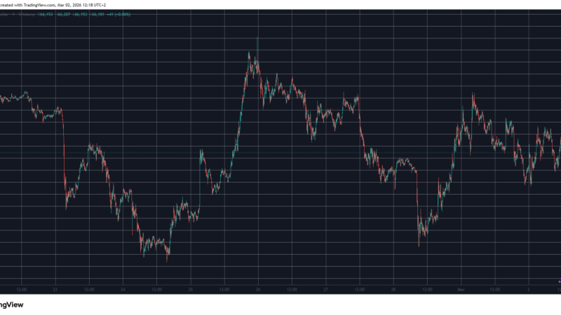 XRP and BNB Battle for 4th Spot, BTC Price Calms at $66K: Market Watch