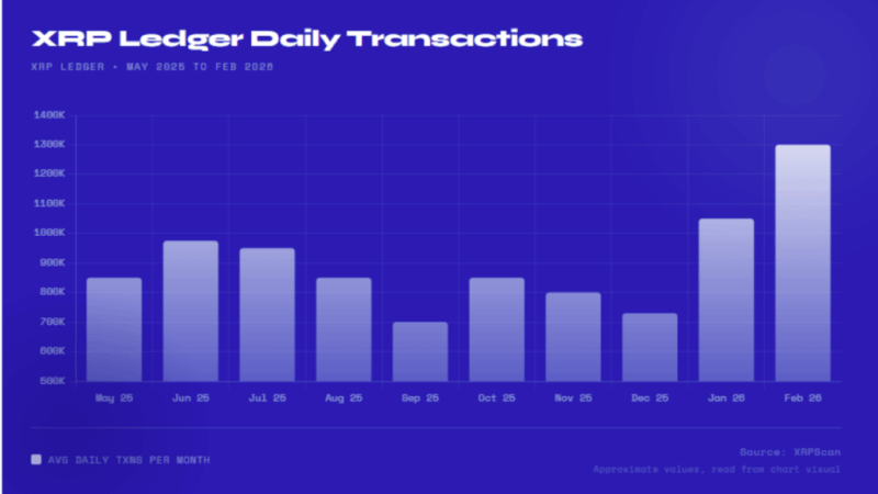 XRP Ledger Transactions Triple In One Year – What’s Going On?