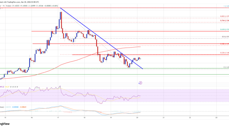 XRP Price Drifts Lower, All Eyes on Bulls Defending $1.42 Zone