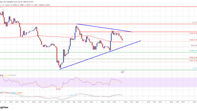 XRP Price Maintains Momentum as Traders Anticipate Breakout Rally