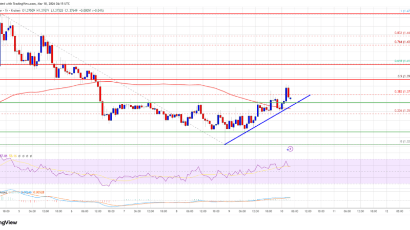 XRP Price Recovers Slightly — Next Move Hinges on Tough Resistance