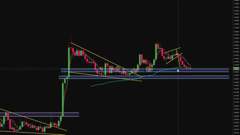 Analyst Starts Buying Dogecoin Again As Price Hits Critical Level