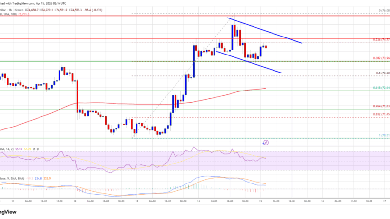 Bitcoin Price Cools Off, Bulls Prepare for Next Leg Higher