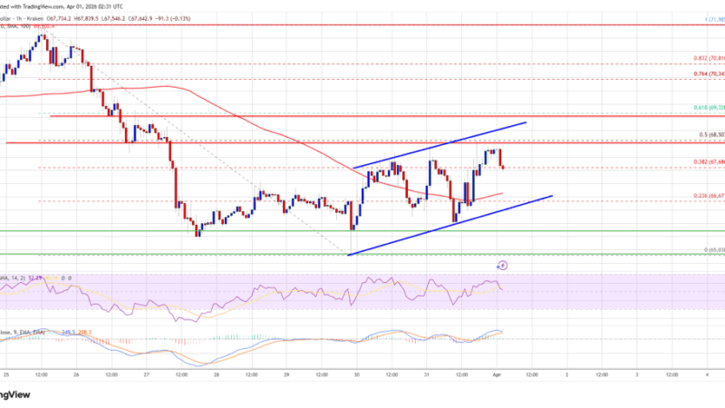 Bitcoin Price Recovery at Risk, Sellers Prepare to Reassert Control