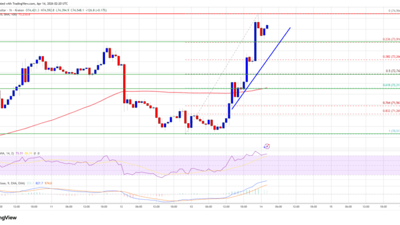 Bitcoin Price Smashes $74K Barrier, Rally Gains Strong Traction
