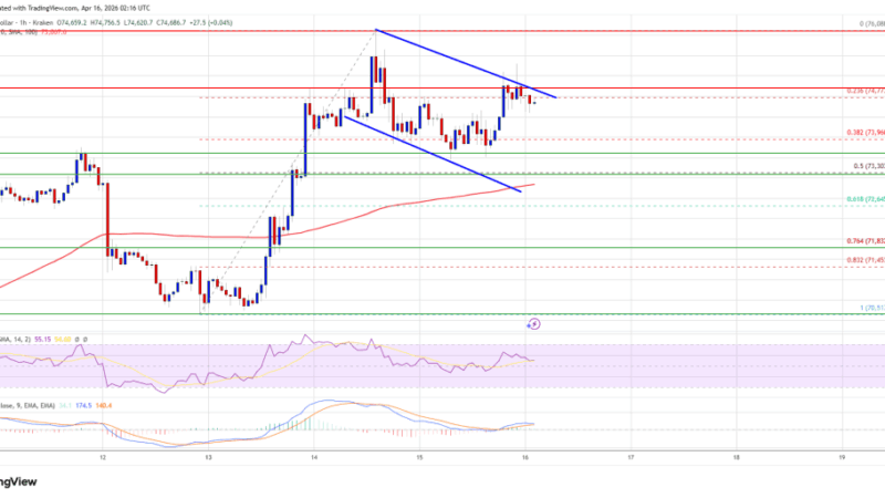 Bitcoin Price Targets $75K Break, Is a New Rally Incoming?