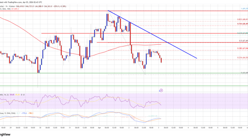Bitcoin Price Teeters on Edge, Will Support Finally Snap?