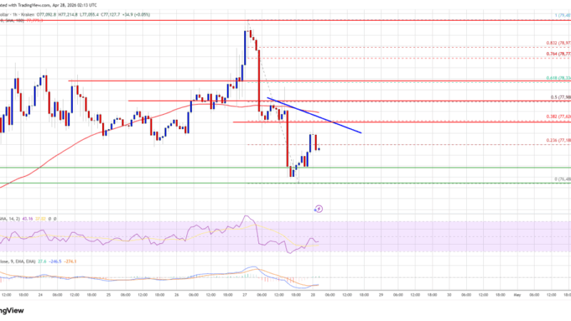 Bitcoin Price Turns Lower After Rejection, Downside Pressure Builds