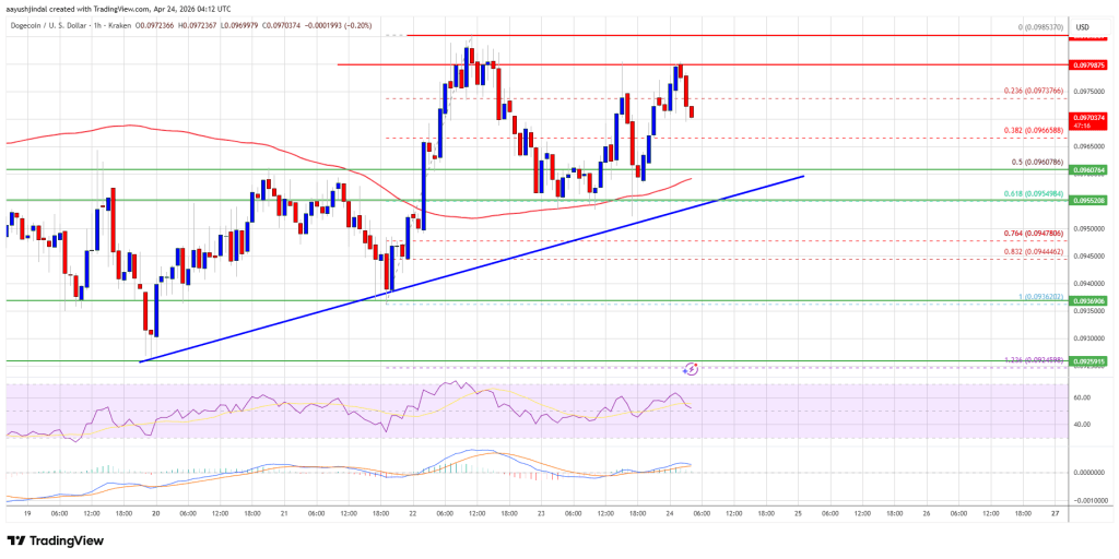 Dogecoin (DOGE) Turns Attractive—Bulls Aim Key Upside Break And Gains
