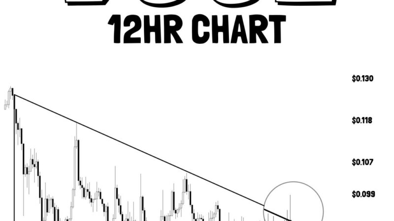 Dogecoin Just Failed At A Key Level, Now $0.088 Is In Focus