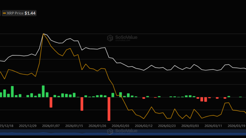 Ripple ETFs Hit New All-Time High But XRP Price Fails to Capitalize
