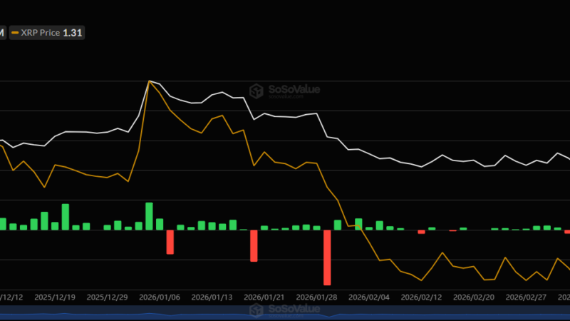 Ripple (XRP) ETFs Went From Bad to Worse: First Red Month and No Inflow Days