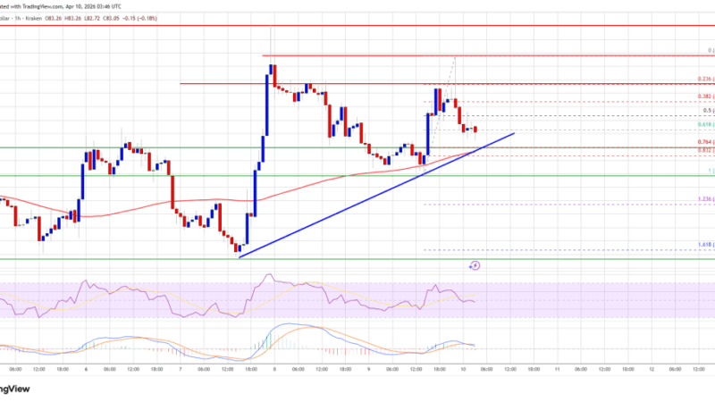 Solana (SOL) Maintains Strength, Gradual Gains Signal Bullish Bias