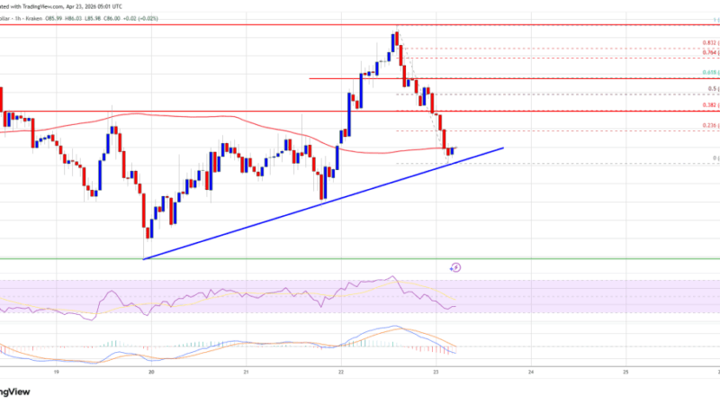 Solana (SOL) Strength Fades, Will Bulls Regain Momentum Soon?