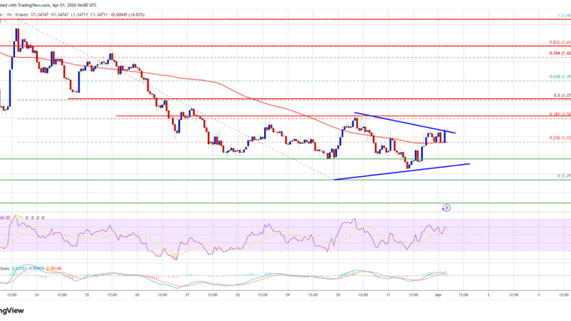 XRP Price Meets Resistance, Tough Challenge Caps Upside Momentum