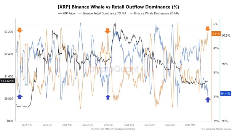 XRP Whale Outflow Dominance Climbs To 2024 Levels —Price To Follow?