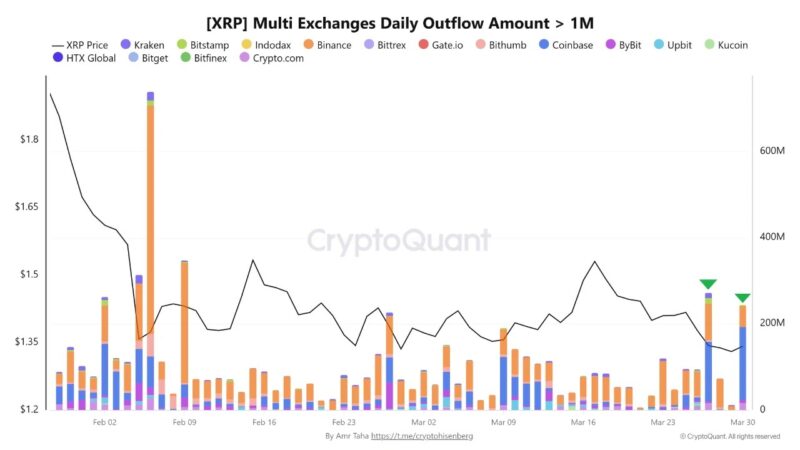 XRP Whales Move $592 Million From Exchanges In Two Days. Discover What Triggered It