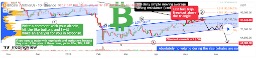 Analyst Says Avoid Bitcoin At All Costs; Here’s What To Do Instead As 50% Crash Looms