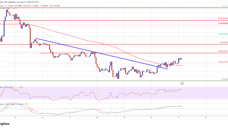 Bitcoin Price Bounce Weakens, Downside Risks Begin Rising Again