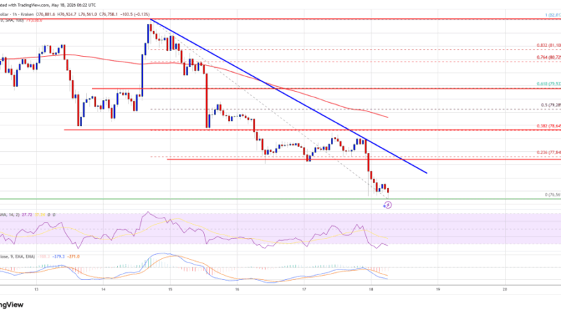 Bitcoin Price Extends Decline, Downside Pressure Builds Aggressively