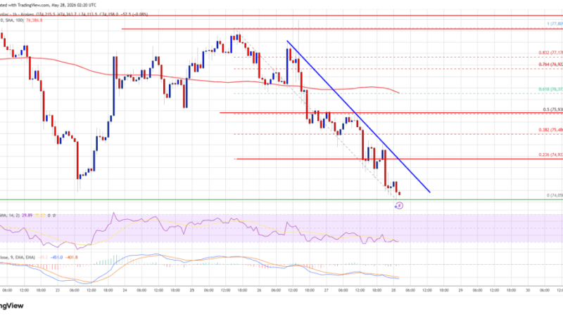 Bitcoin Price Extends Decline Rapidly As Key Supports Collapse