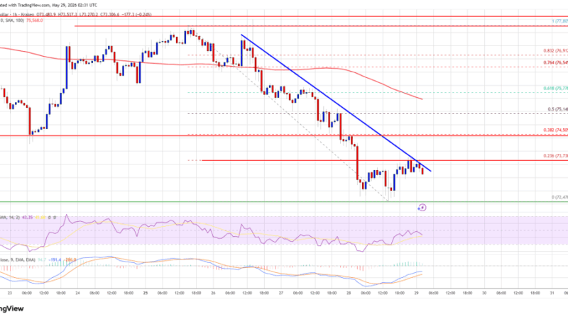 Bitcoin Price Extends Decline Rapidly As Key Supports Paves Way