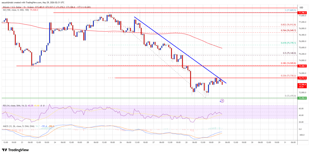 Bitcoin Price Extends Decline Rapidly As Key Supports Paves Way