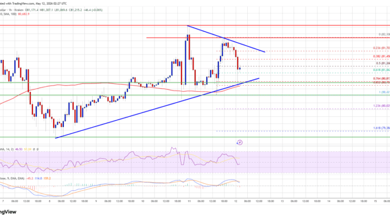 Bitcoin Price Eyes $82K Break, Bulls Prepare For Bigger Rally