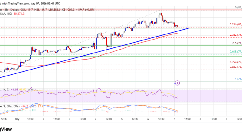 Bitcoin Price Gains Fade After Strong Rally Push Sparks Profit-Taking