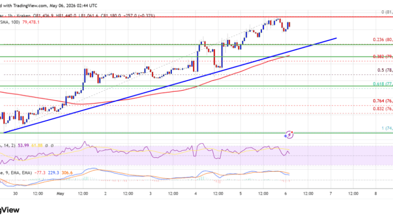 Bitcoin Price Keeps $80K Support, Can Bulls Extend Rally Soon?