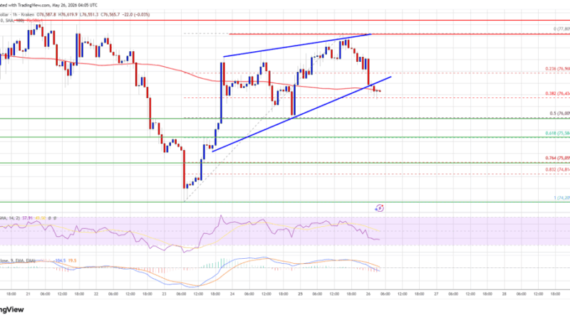 Bitcoin Price Recovery Looks Fragile, Another Drop May Follow Soon