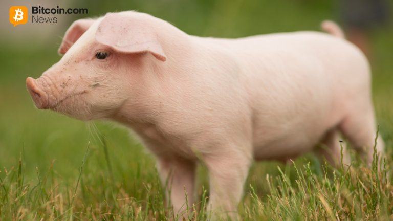 China Confirms Participation in ‘First of Its Kind’ Anti-Pig Butchering Operation