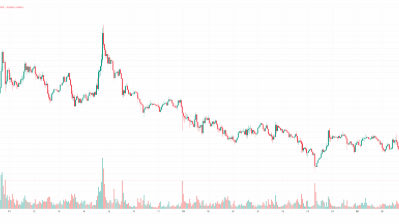 Critical Pi Network (PI) Update, Ripple (XRP) Price Crash, and Altcoins in Danger: Bits Recap May 28