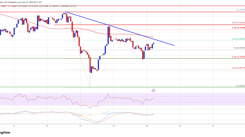 Dogecoin (DOGE) Bounce Under Threat As Resistance Caps Further Gains