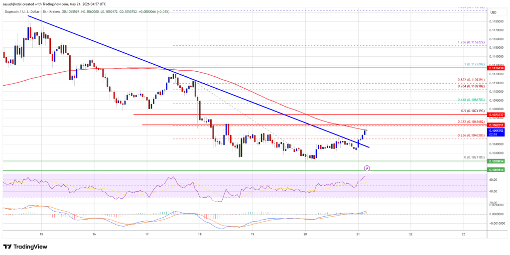 Dogecoin (DOGE) Faces Fresh Downside Risk, Sellers Stay Aggressive