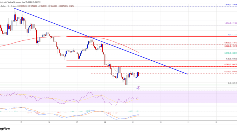 Dogecoin (DOGE) Slow Bleed Continues, Key $0.10 Support Comes Into Focus