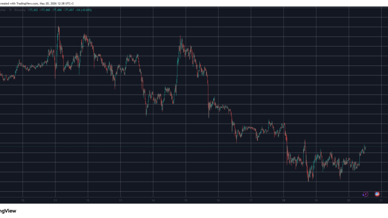 Double-Digit Gains From These 2 Altcoins as Bitcoin Reclaims $77K: Market Watch