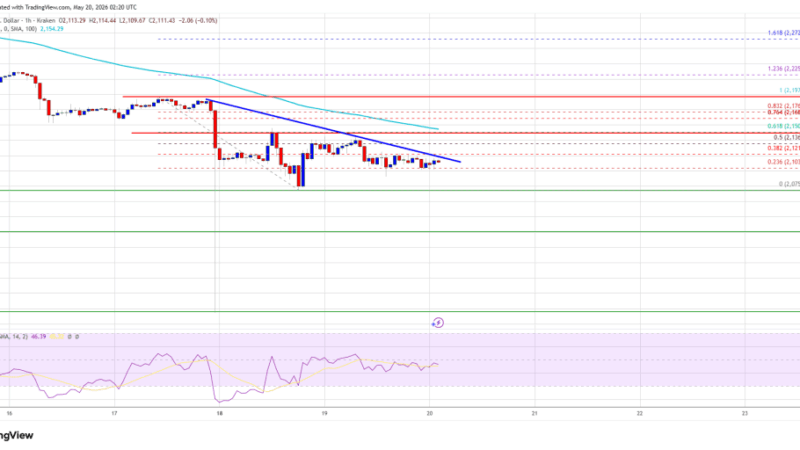 Ethereum Price Bounce Looks Fragile, Another Selloff May Be Brewing