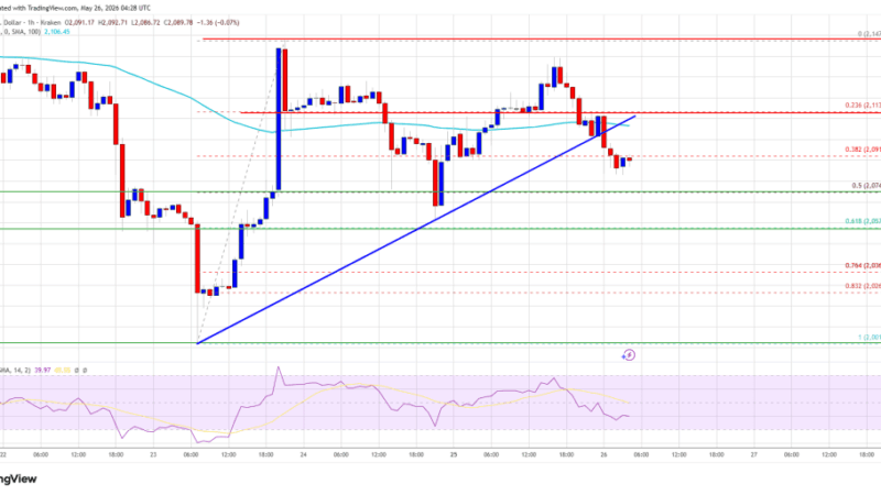 Ethereum Price Buying Pressure Softens, Traders Turn Increasingly Cautious