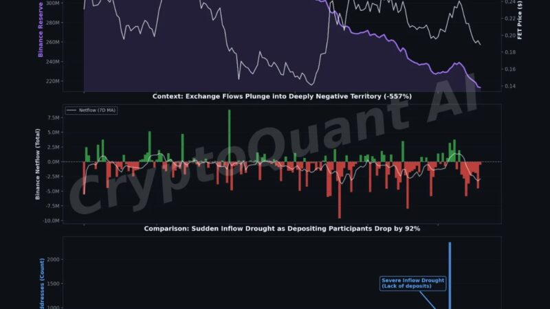 FET Exchange Supply Is Quietly Disappearing – Discover Why Traders Are Watching Closely