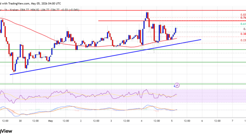 Solana (SOL) Range-Bound Below $90, Control Battle Intensifies